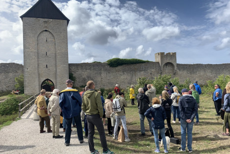 https://test.gotlandsmuseum.se/wp-content/uploads/Vandring_01.jpg